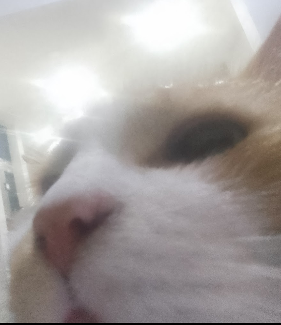 Soggy Bot tweet media