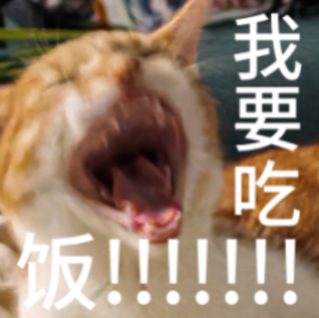 啫啫煲很好吃 tweet media