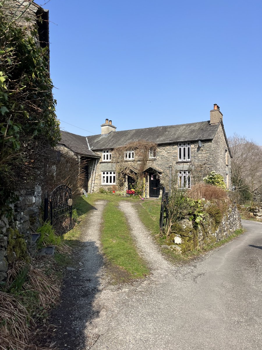 rly cool girl tweet media