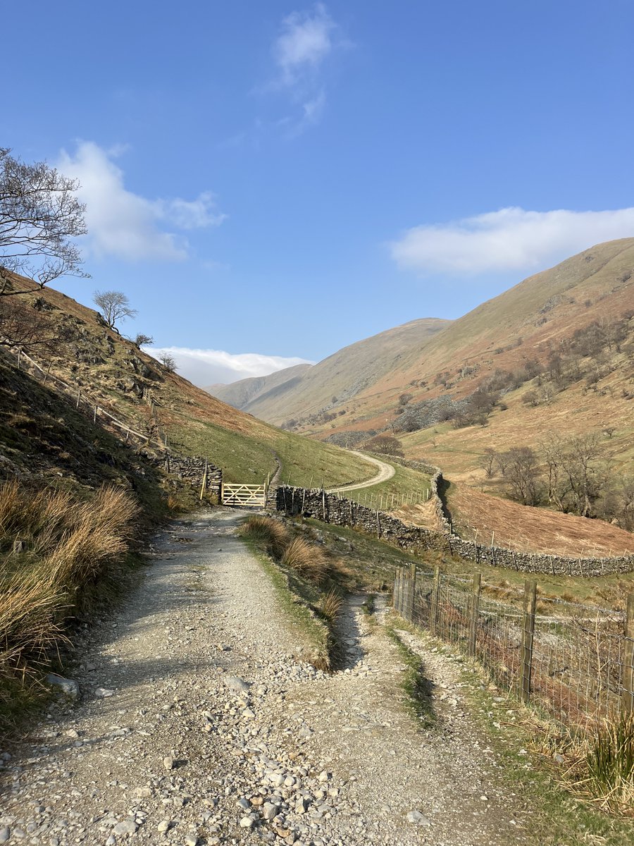 rly cool girl tweet media