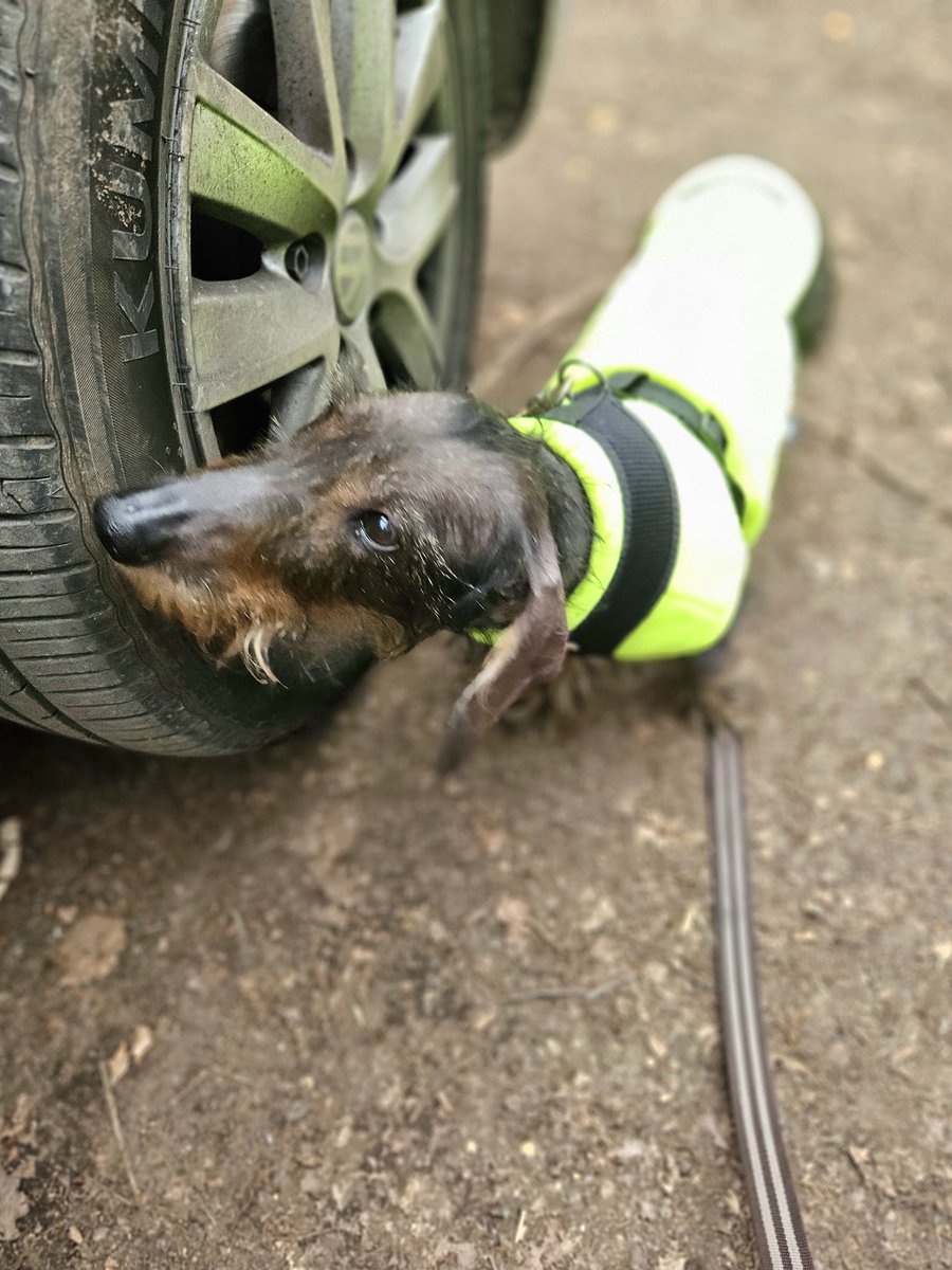 BelieveTheTruth 🇪🇺 tweet media