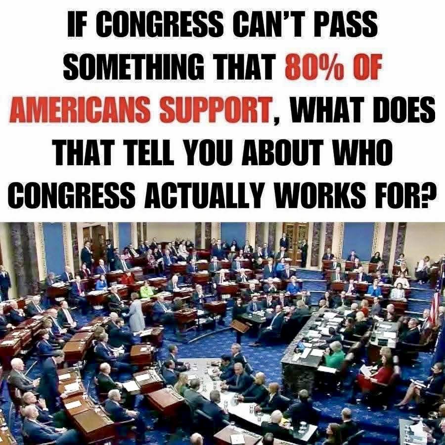 Rosey McDonald tweet media