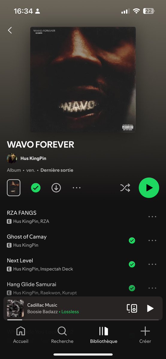 🐈‍⬛ tweet media