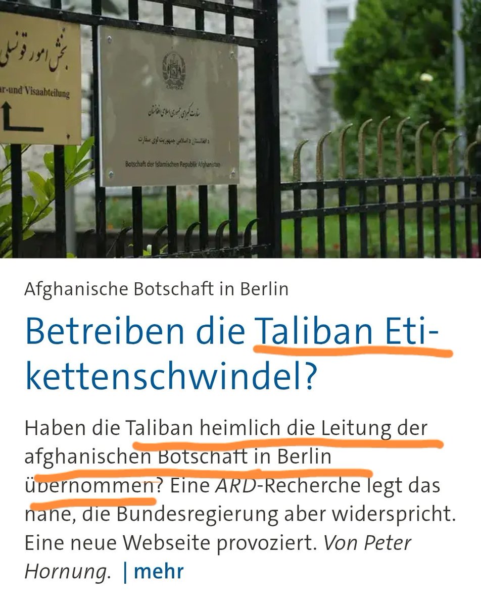 már🐧cia tweet media