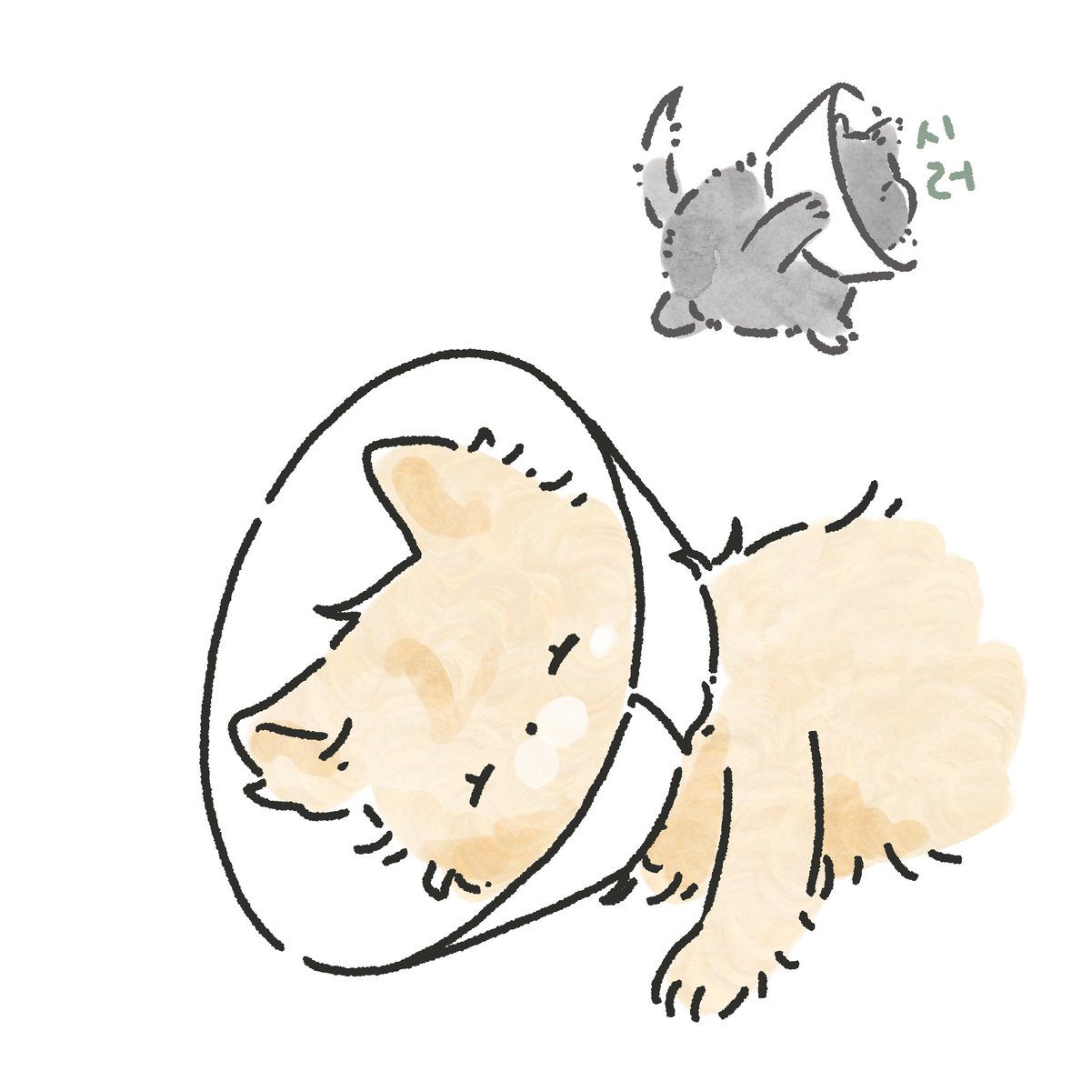 예롱🐰🐥 tweet media