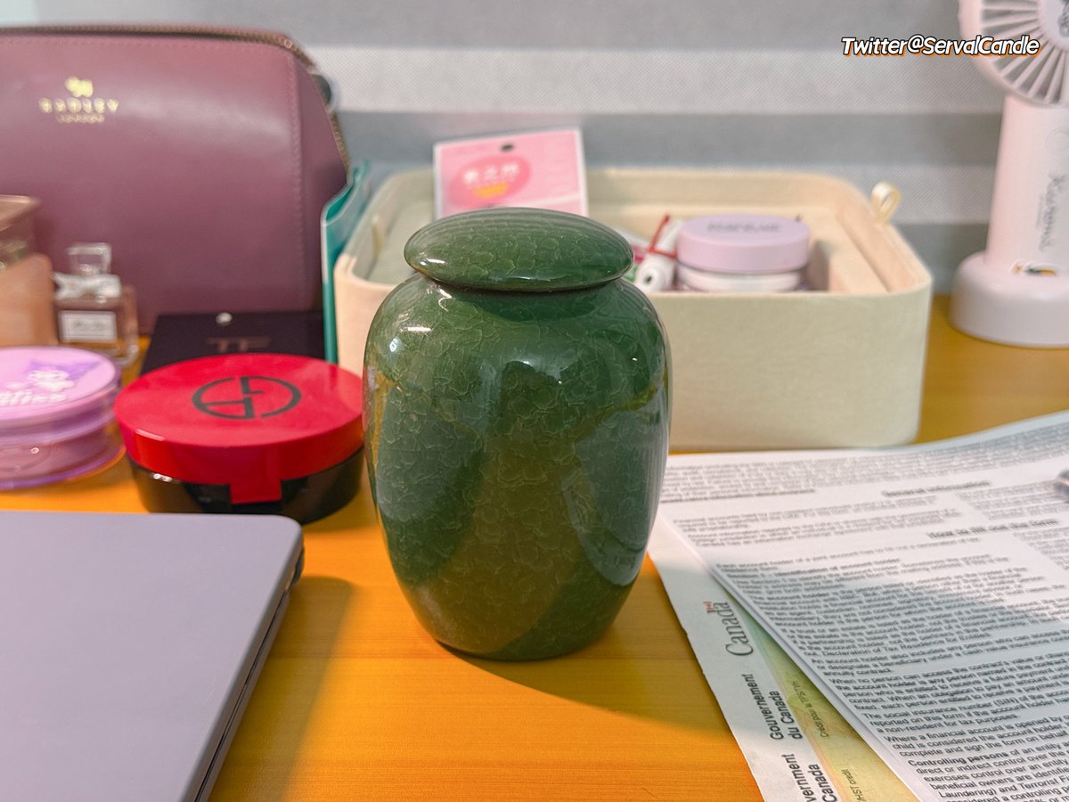 🌸猫宮すみか🎀🫪 tweet media