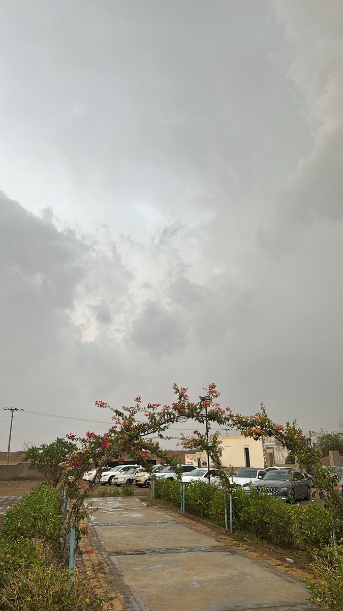 Bandar Almaghrabi tweet media