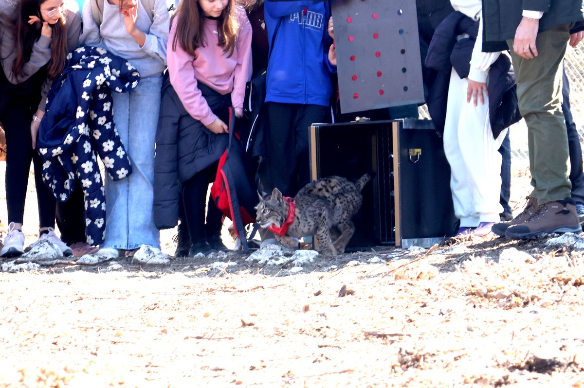 Junta de Castilla y León tweet media