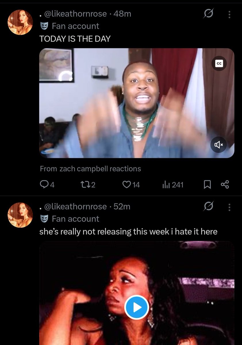 katy'sCat 🦋 🐍 tweet media