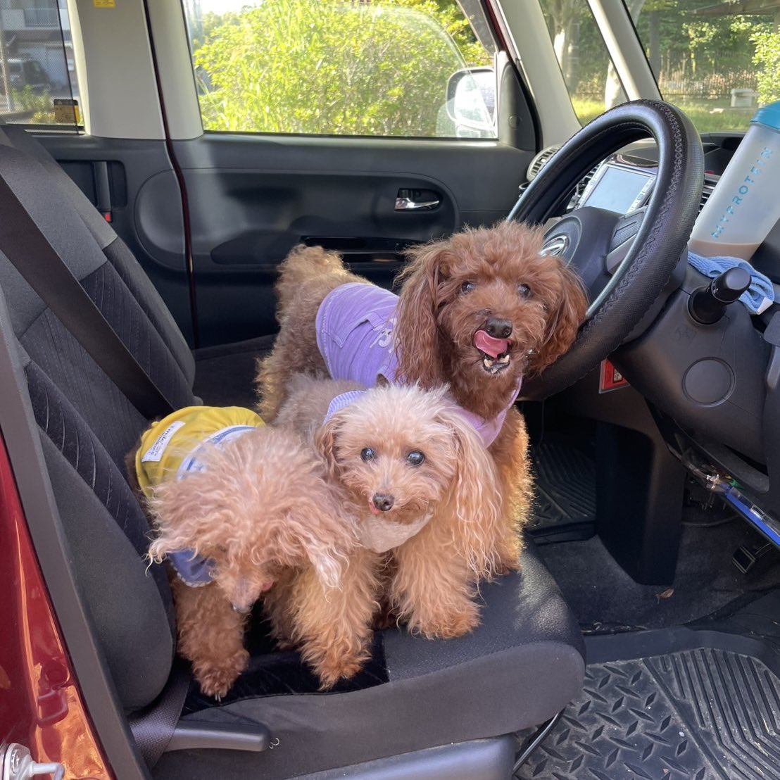 明日は朝イチから病院なので
早目に寝る😪
おやすみなさい✨️