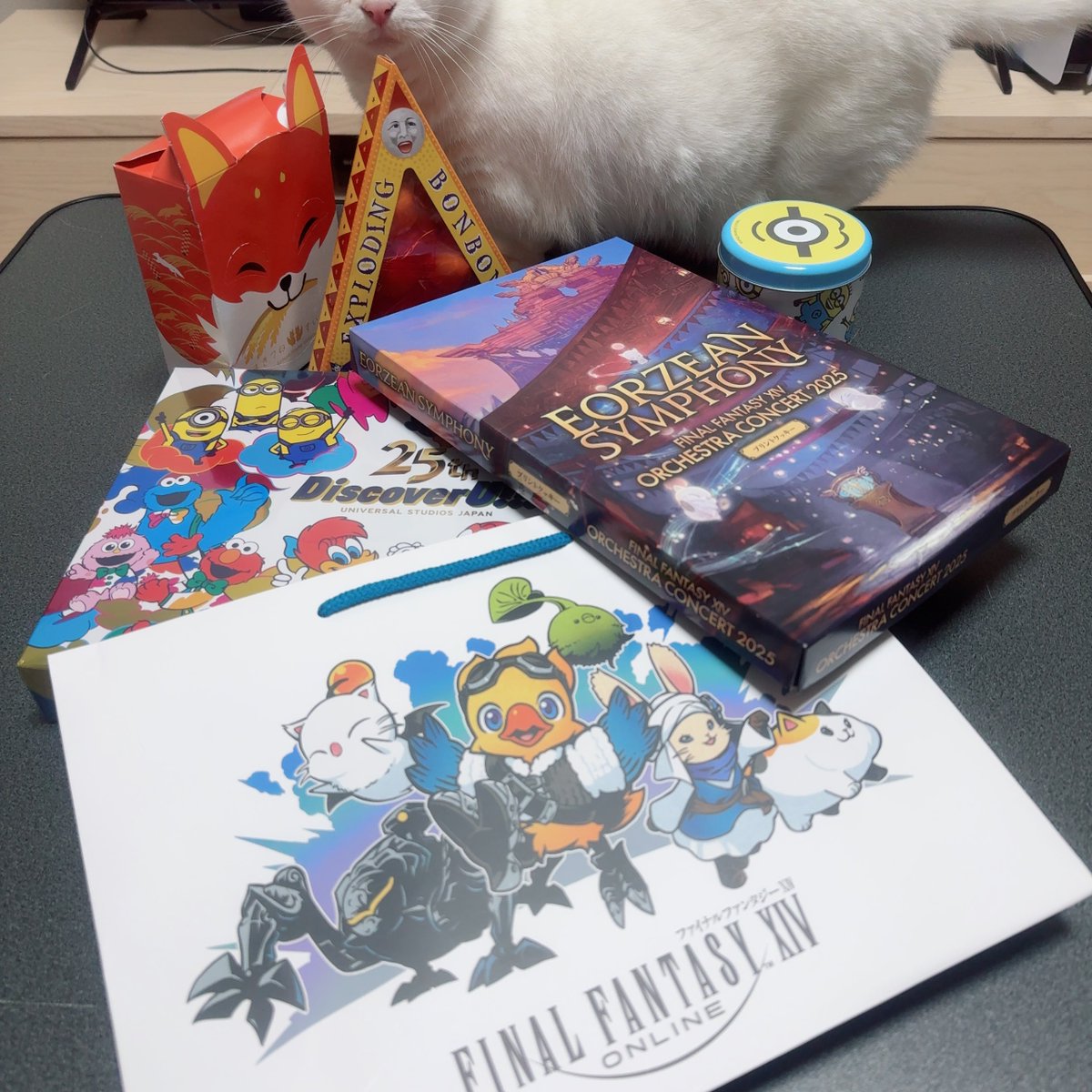 Filo🐈 tweet media