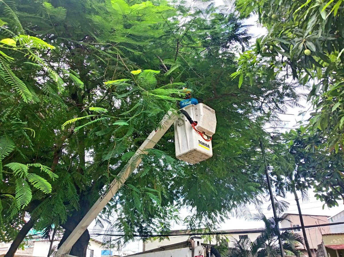 Parques EP tweet media