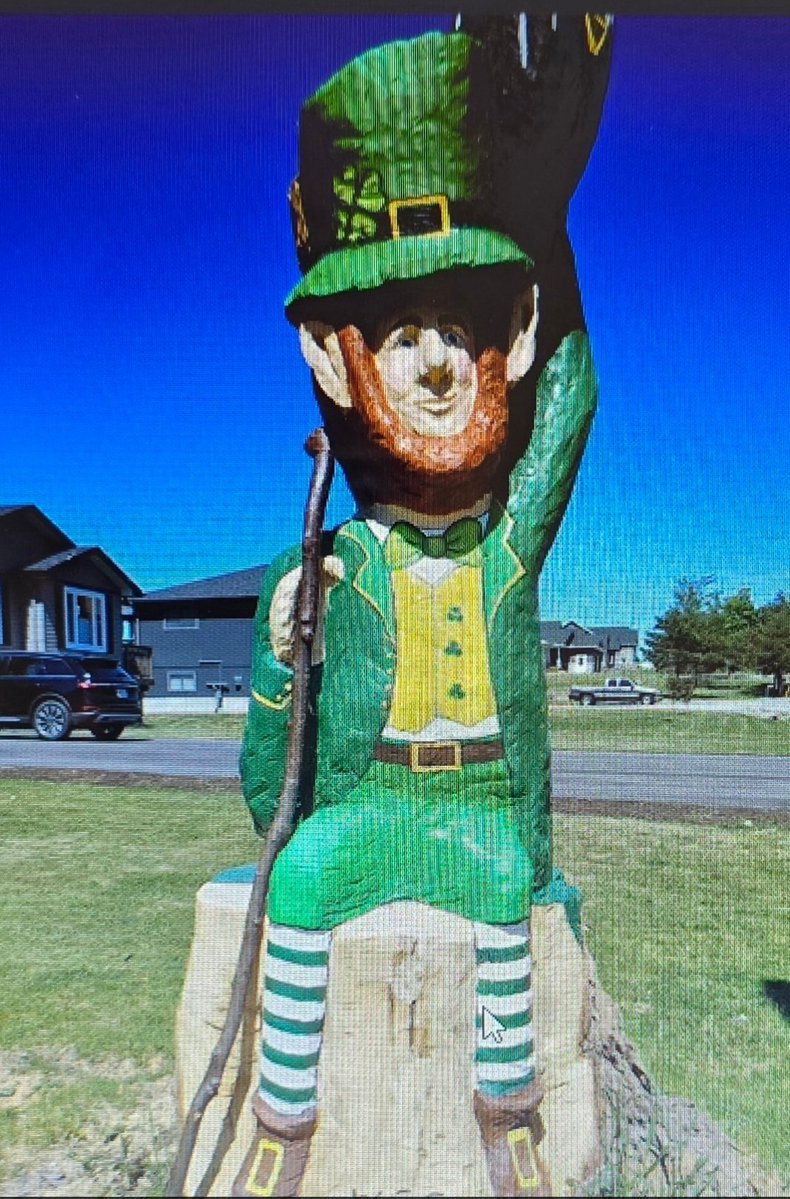 Bonnie MsB 🏡🌲🎨📷🥾☕⛺🏚🦉✍🌞 tweet media