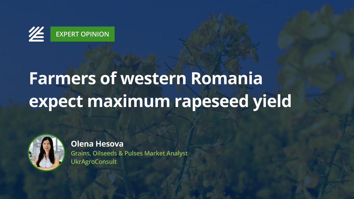 UkrAgroConsult's tweet image. 🟢 Farmers of western #Romania expect maximum #rapeseed #yield

UkrAgroConsult expert shares analysis of the grain and oilseed market. 

Read more 👉ukragroconsult.com/?p=311618

#UkrAgroConsult #Agriculture