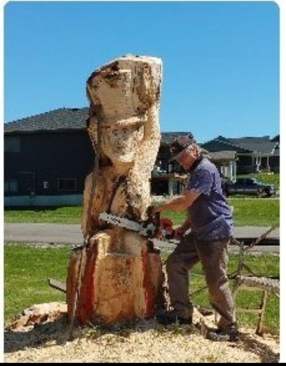 Bonnie MsB 🏡🌲🎨📷🥾☕⛺🏚🦉✍🌞 tweet media