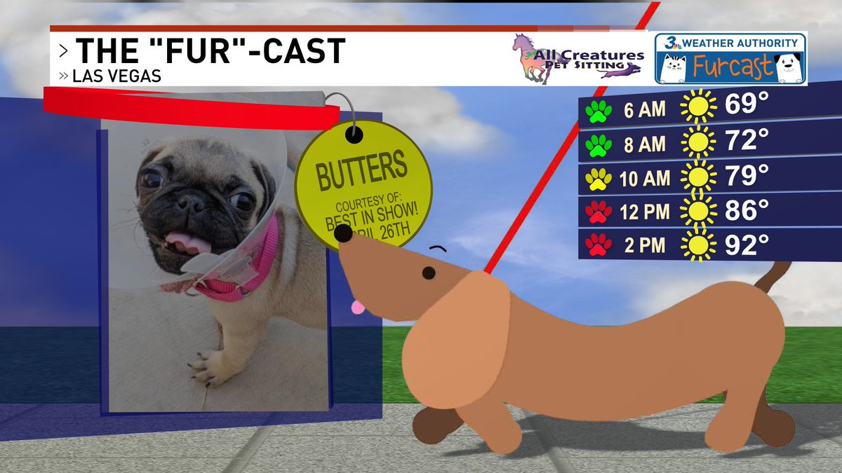 Chloe Koast tweet media