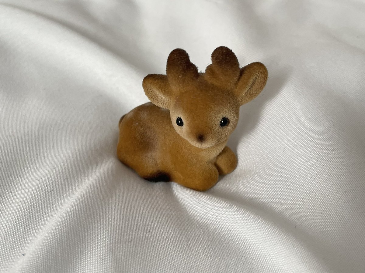 ly🦆🐇 is inactive🤏🏼 tweet media