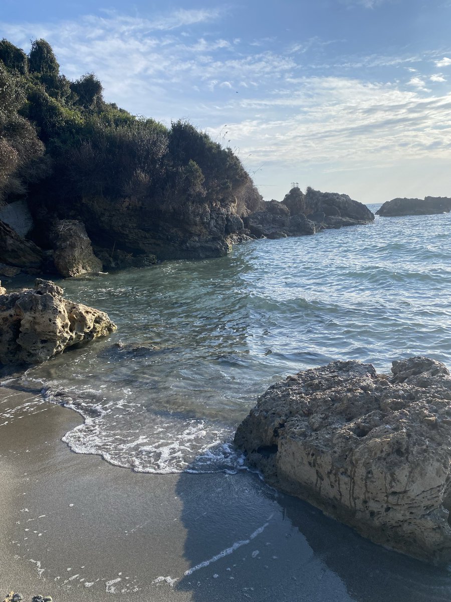 Μικρό μπιζέλι tweet media