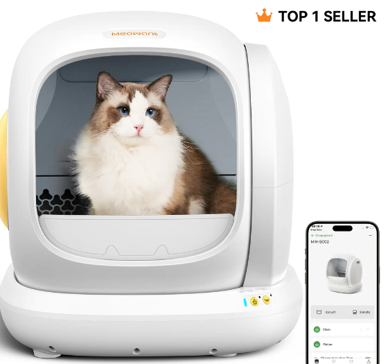 TinyxDestiny Ttv💜 tweet media