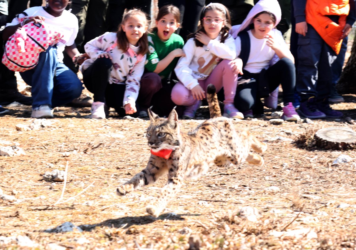Junta de Castilla y León tweet media