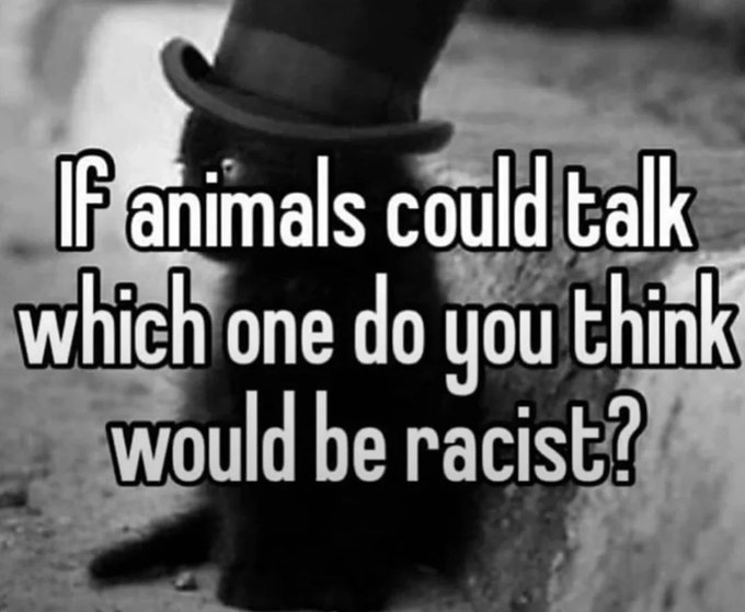 Shitpost 2048 tweet media