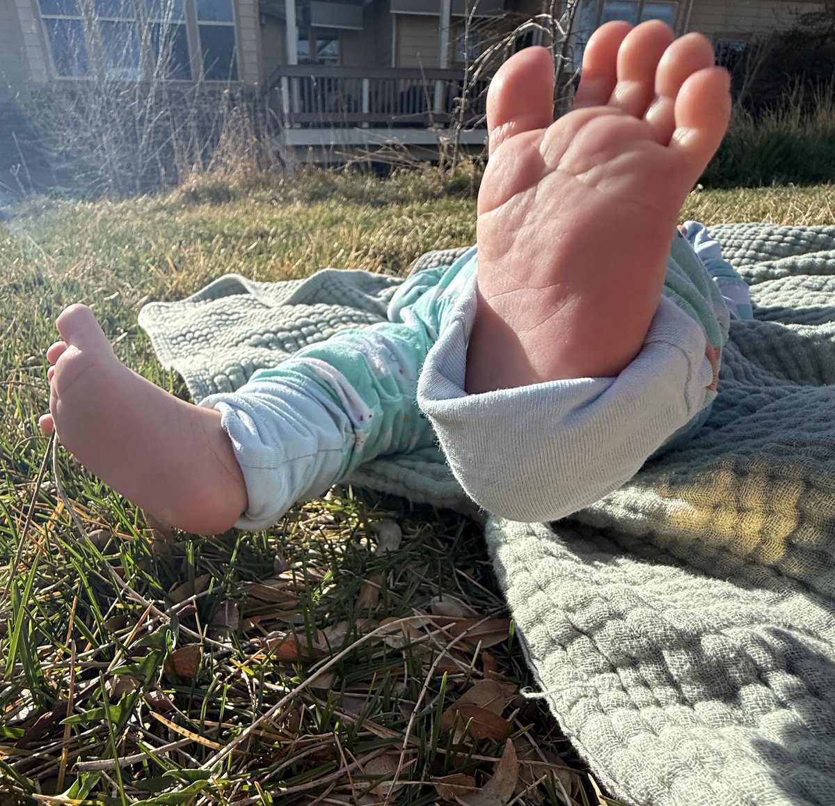 Stephanie Cardozo tweet media