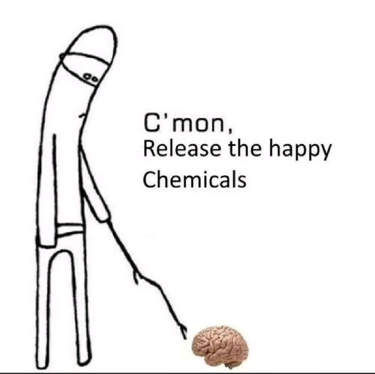 ADHD Memes tweet media