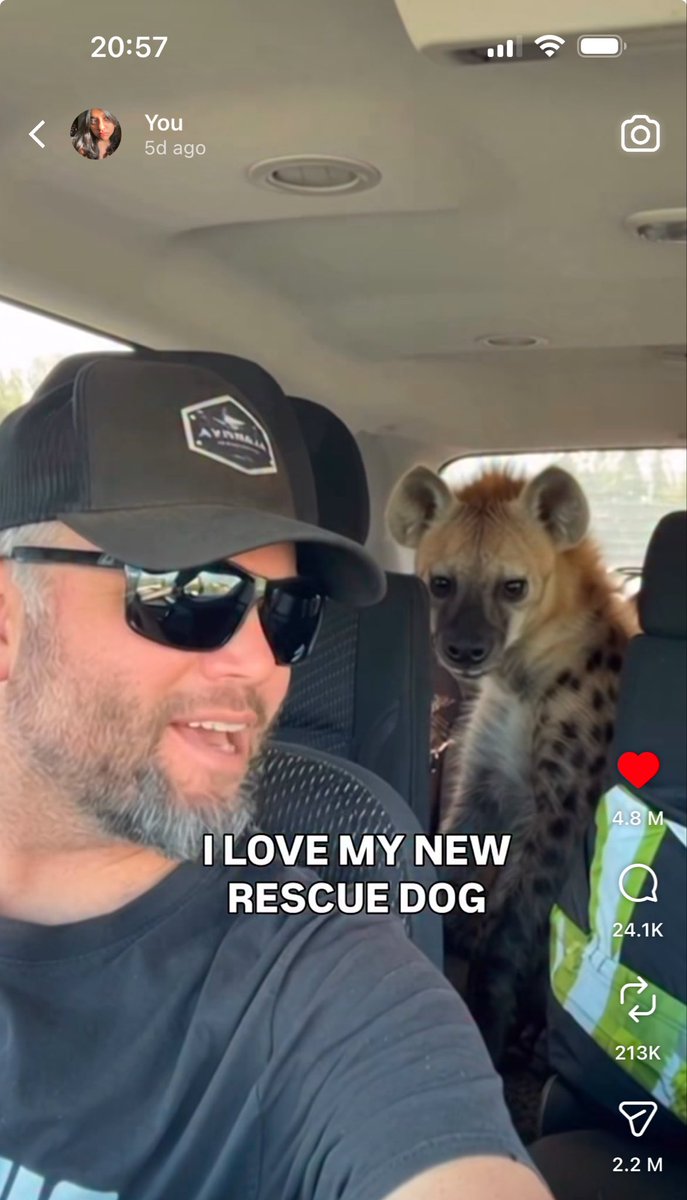 hello kitty gf 🎀 tweet media