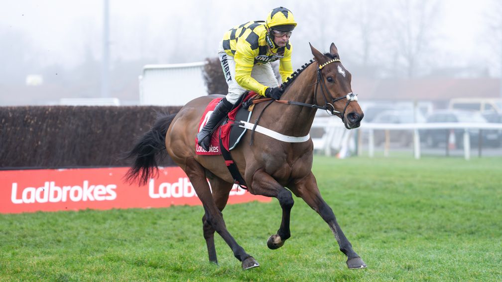 Racing Tips tweet media
