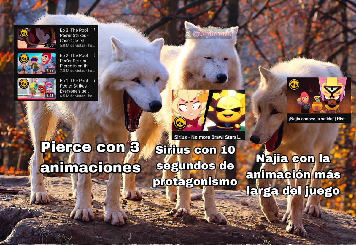 Alphaa✨ tweet media