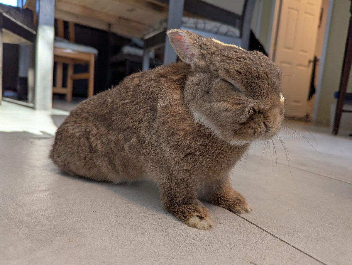 rocky.. 🍁 tweet media