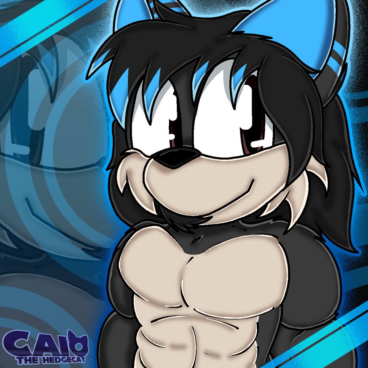 😺Caio The HedgeCat🐈 tweet media