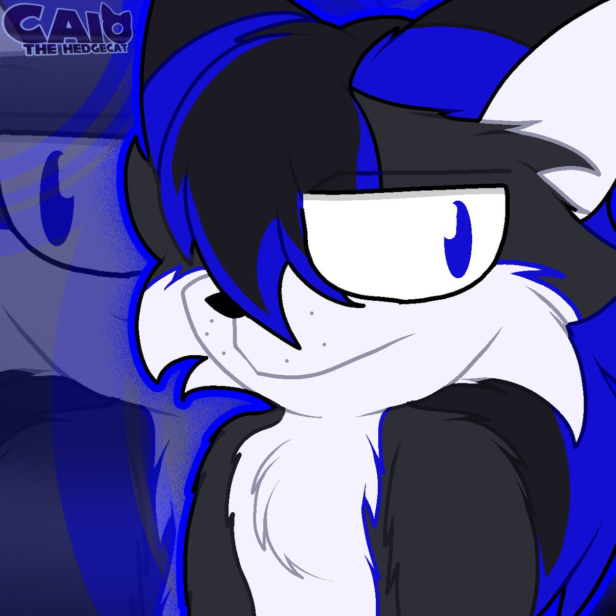 😺Caio The HedgeCat🐈 tweet media