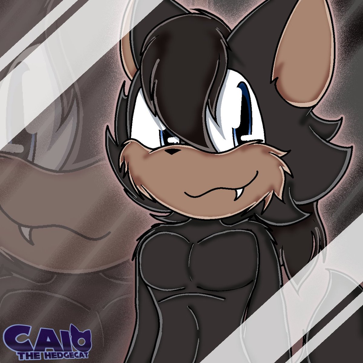 😺Caio The HedgeCat🐈 tweet media