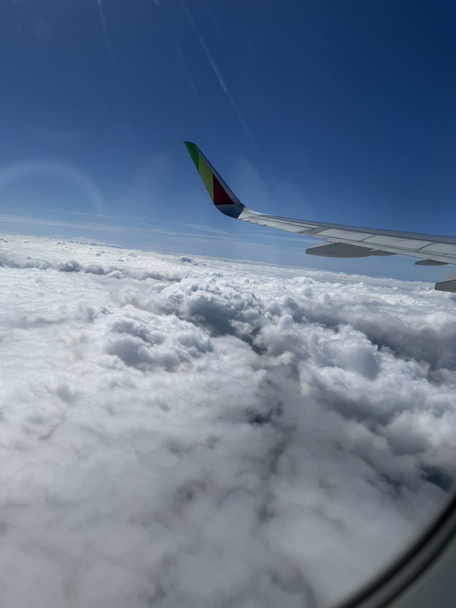 Data Savvy tweet media