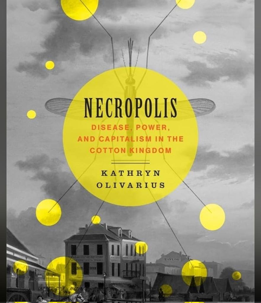 Statue Of Angberty🗽 tweet media