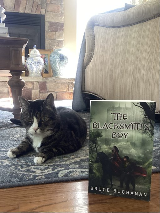 Bruce Buchanan tweet media