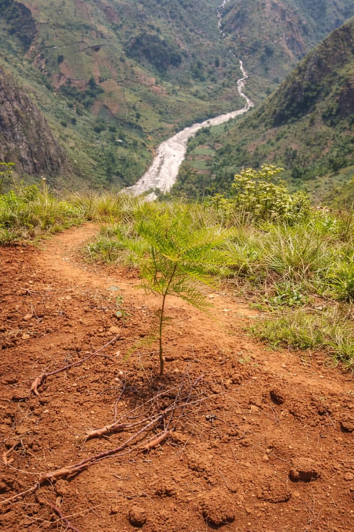fesd1978's tweet photo. Along the Rusizi River, communities in Nzahaha are restoring degraded land through tree planting.
This work:
Protects riverbanks
Restores ecosystems
Creates jobs for youth and women
Community members are at the heart of this change.
#FESD #ClimateAction #Restoration #Rwanda https://t.co/LHXg6CDnhN