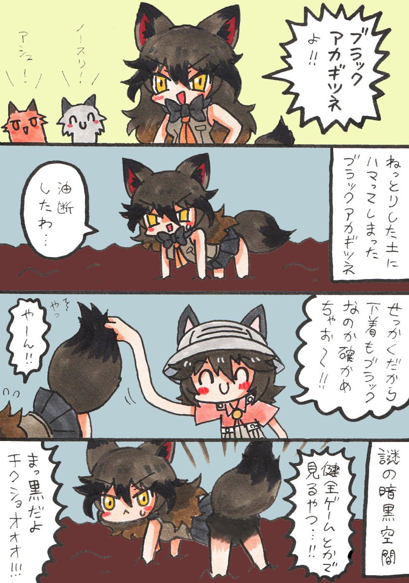 色違いのアカギツネ 🦊