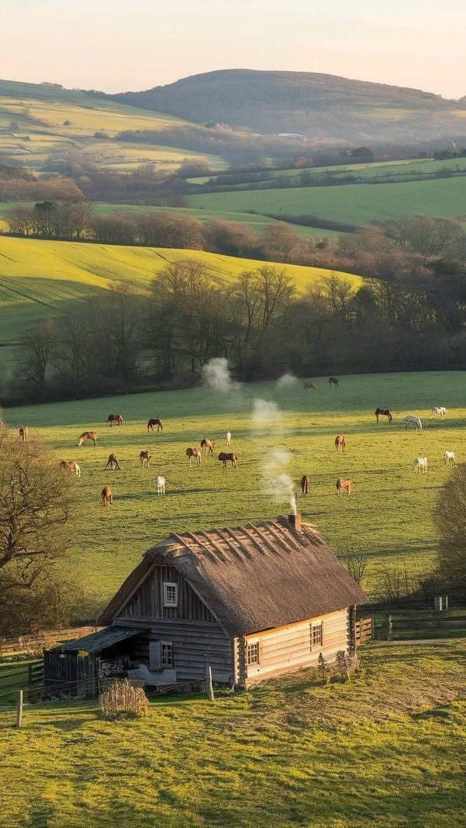 Sneed Redeemed 🇦🇺 tweet media