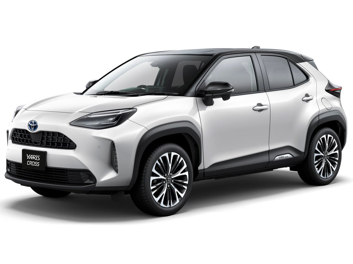 スパインフット tweet media