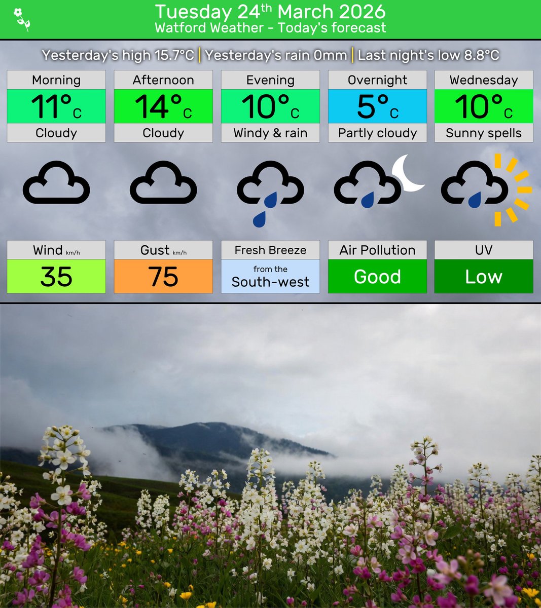 John Bowe tweet media