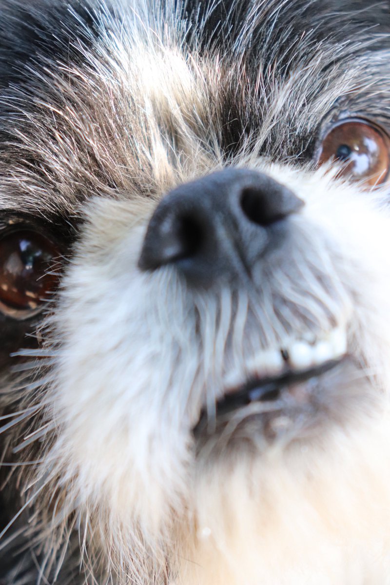 鏡📸@🏷️無言フォロー失礼します tweet media