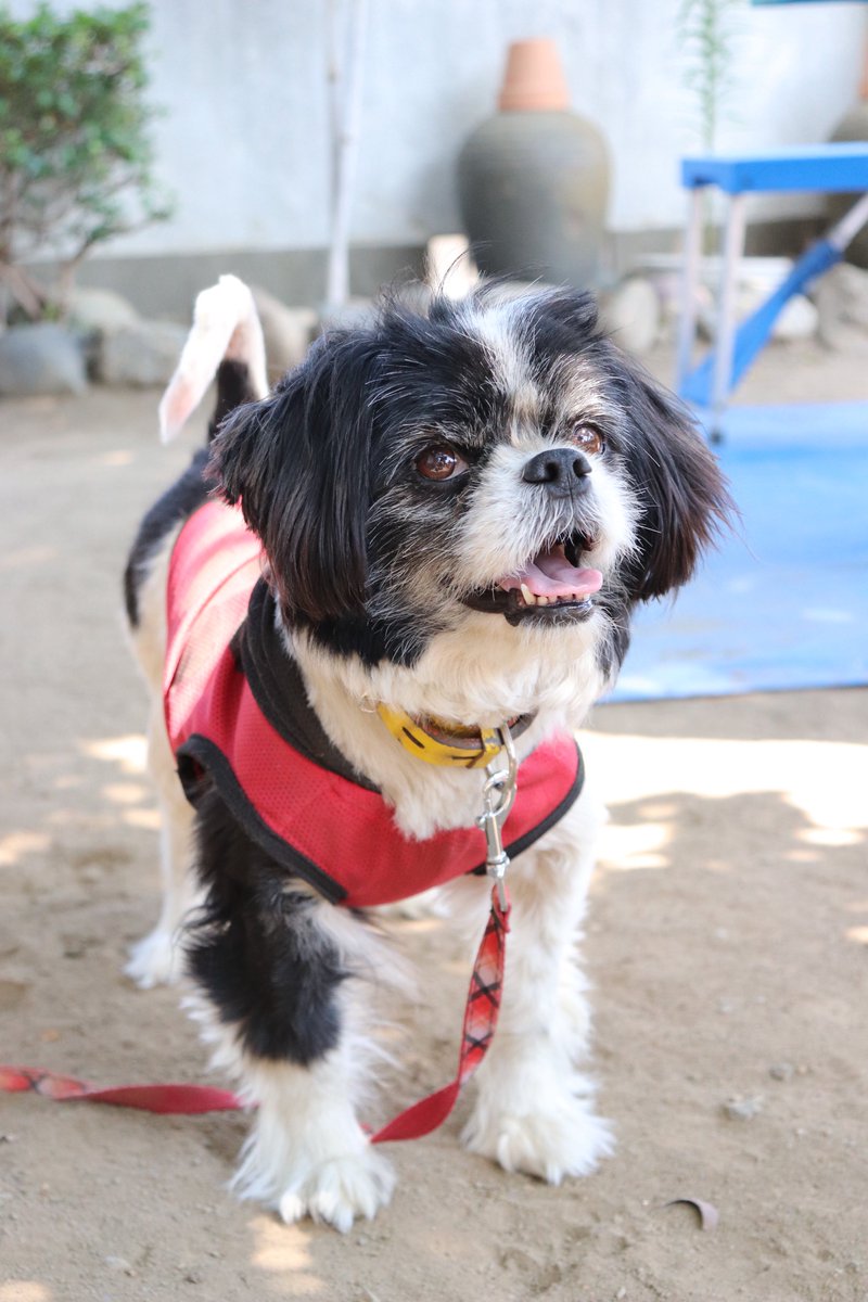 鏡📸@🏷️無言フォロー失礼します tweet media