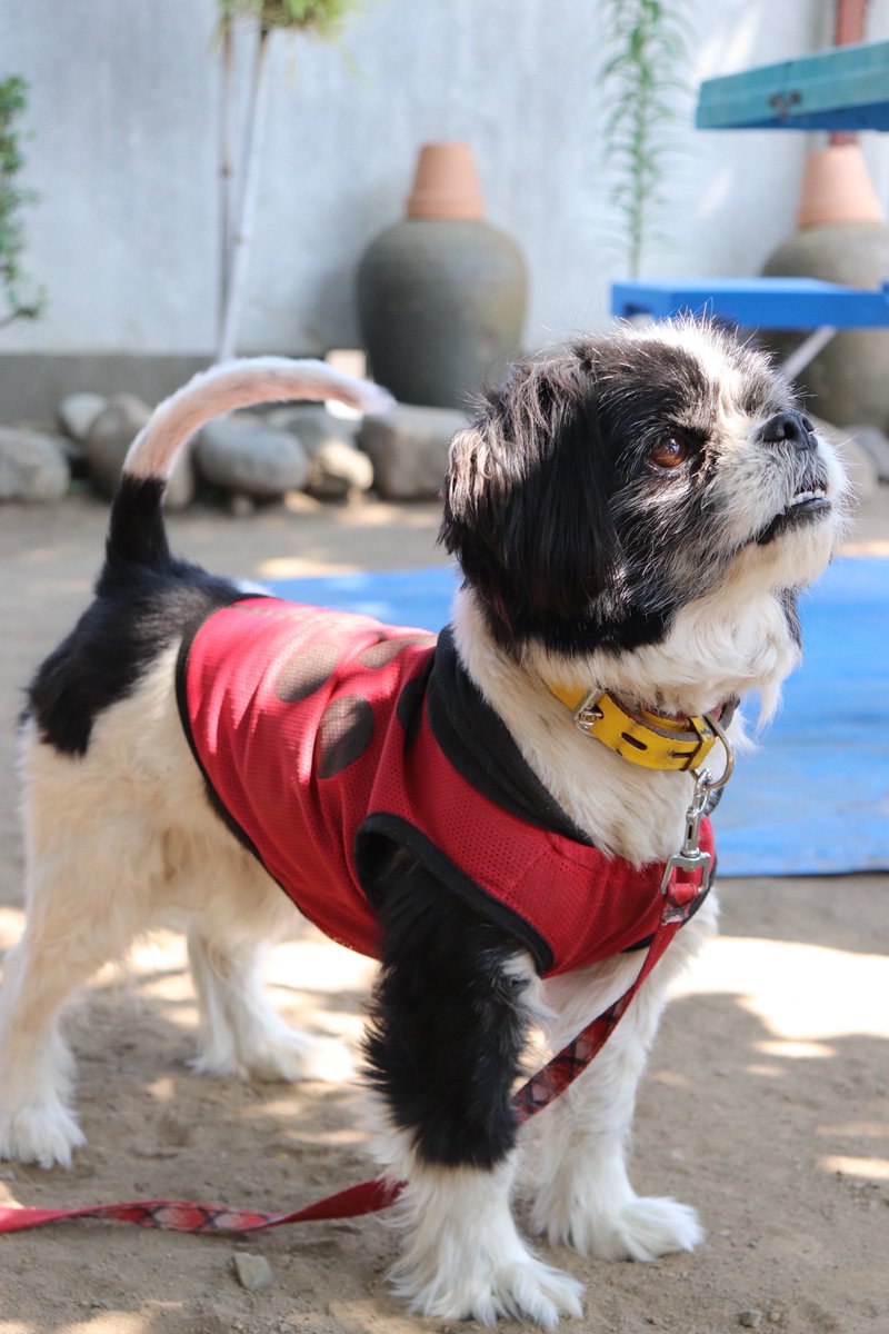 鏡📸@🏷️無言フォロー失礼します tweet media