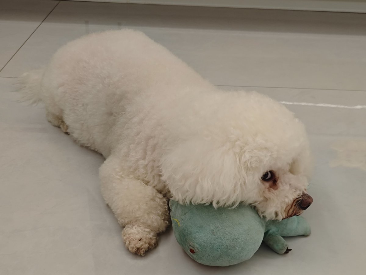 Laura•Ni（互关互Fo） tweet media