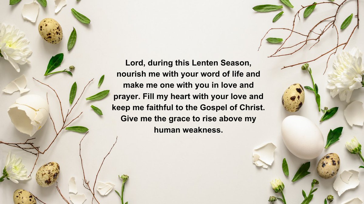 St Paul's Catholic School tweet media