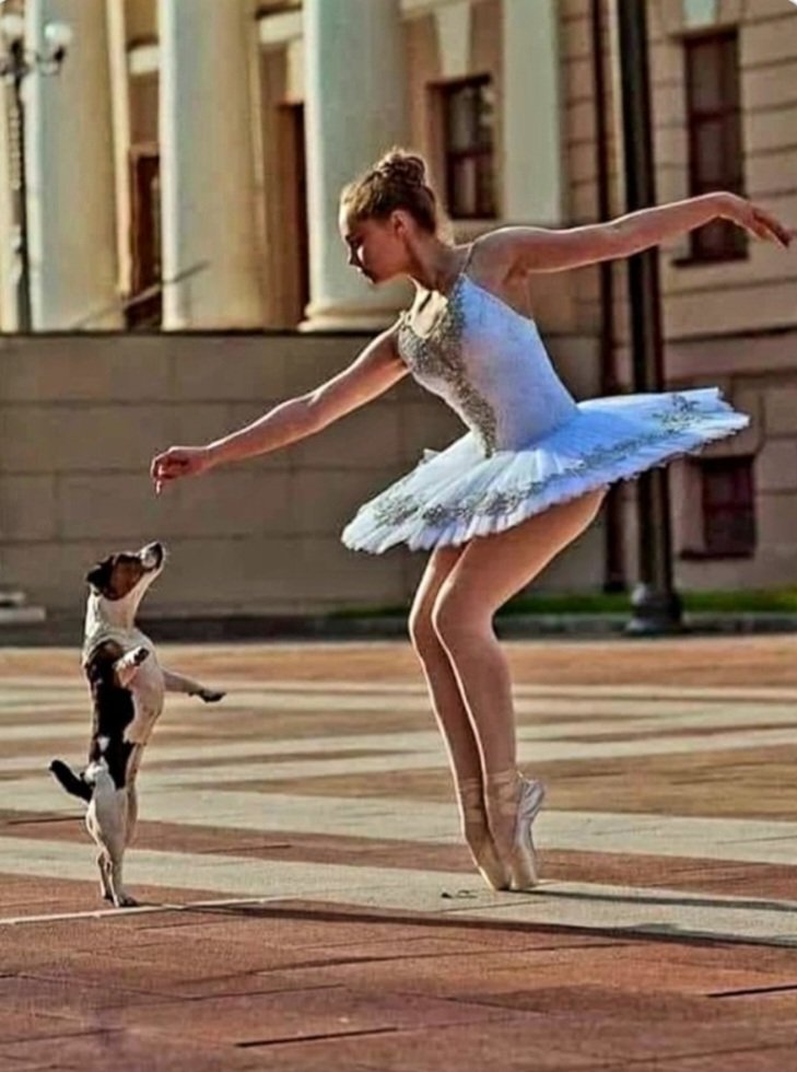 Suzana B tweet media