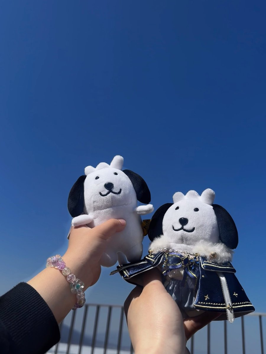 安納サオリ tweet media