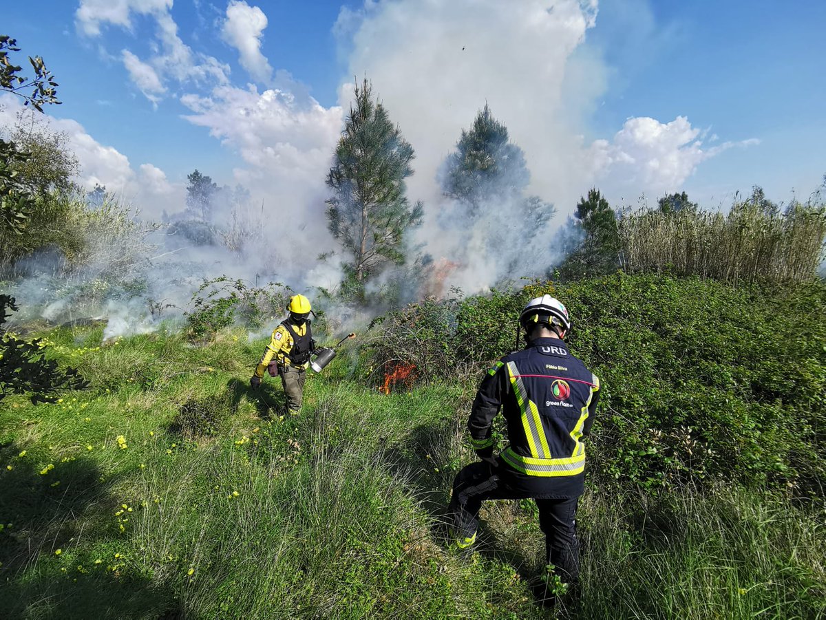 PauCostaF's tweet photo. 🔥We are in 📍Torres Vedras (Portugal) delivering the “Training in Technical Fire Management” in  collaboration with #GreenFlame #FábioSilva, focused on understanding fire as a tool for prevention and suppression.

👉Aimed at equipping students with the necessary qualification to safely operate with fire in prevention and suppression activities, the participants are learning and practising a range of techniques to manage fire behaviour, intensity, and spread.

Thank you #SapadoresFlorestaisTorresVedras 🙌